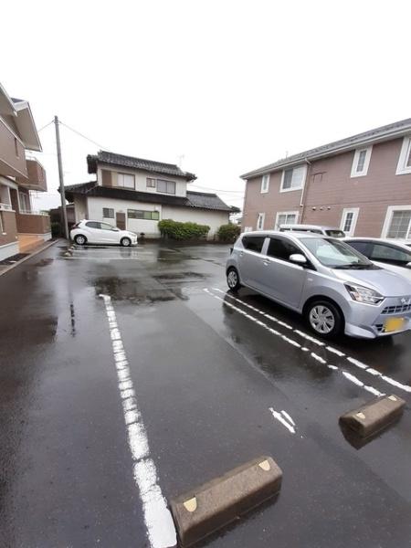 トワイエＭ＆Ｍ　５