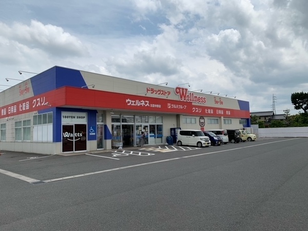 ルミエールB(ドラッグストアウェルネス出雲中野店)
