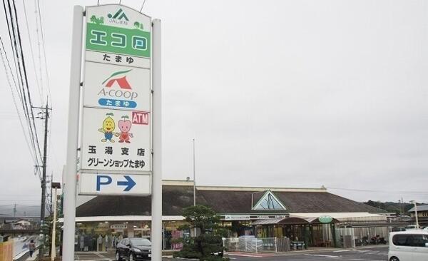 コネクションＡ