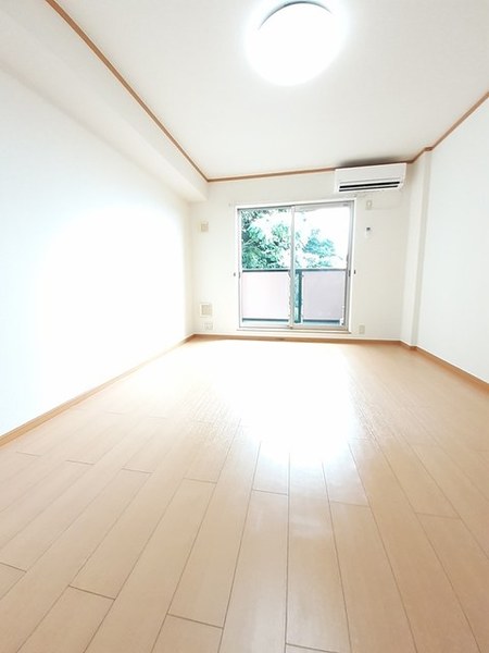 ヴィオラＧ