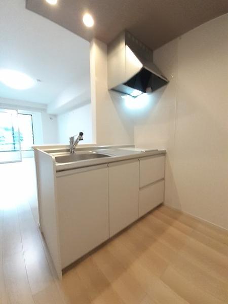 ラッフィナートD(キッチン)