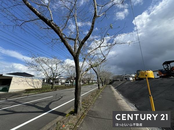 桜咲く通りでお店を始めませんか