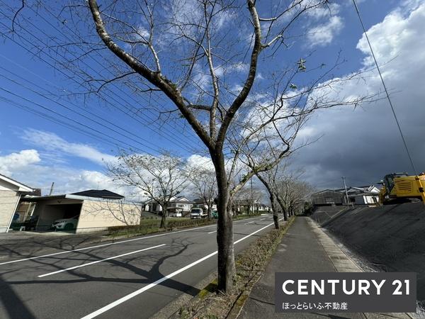 桜咲く通りでお店を始めませんか