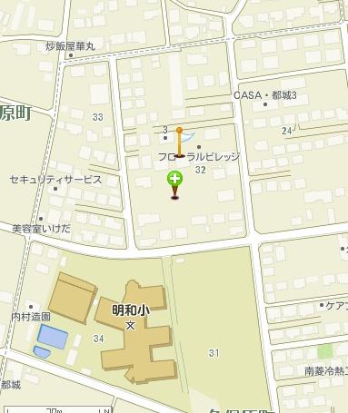 チェリーブロッサム