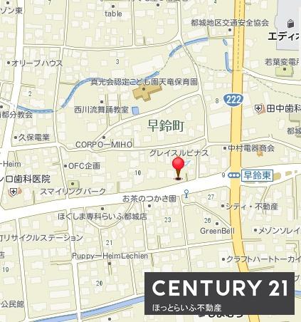 グレイスルピナス