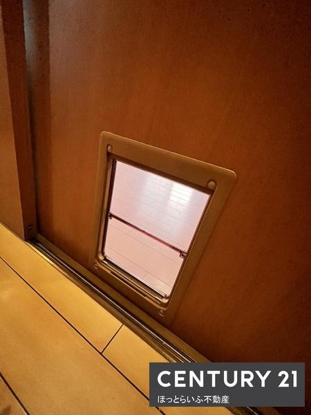 アンティックペットワン