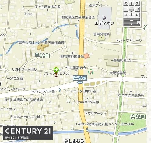 グレイスルピナス