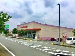 桶川坂田西 庭付き戸建貸家(ファッションセンターしまむら坂田店)