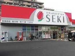 メゾン櫛引(ドラッグストアセキ大成町店)