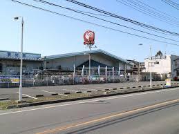 アネシス・参番館(コメリハード&グリーン伊奈小室店)