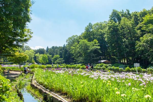 上尾平方貸家B棟(上尾丸山公園)