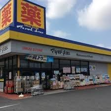 ニューシティナカムラE棟(マツモトキヨシ上里七本木店)