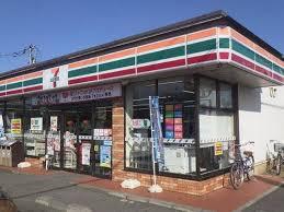 パレスヤナガワ(セブンイレブン桶川末広3丁目南店)