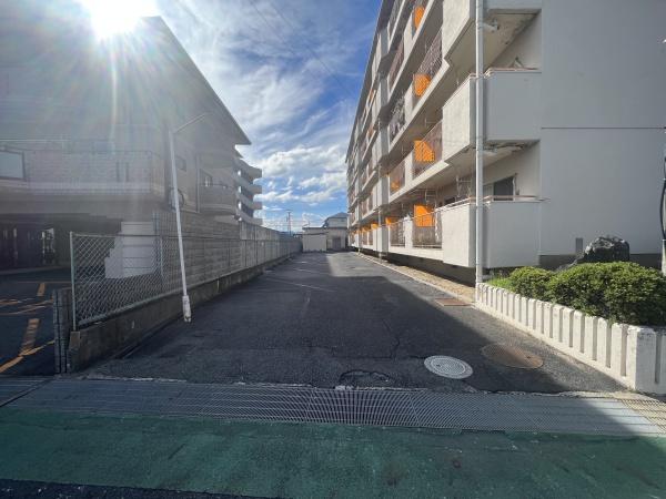 メゾン近江富士　（分譲マンション賃貸）
