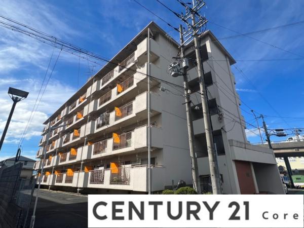 メゾン近江富士　（分譲マンション賃貸）
