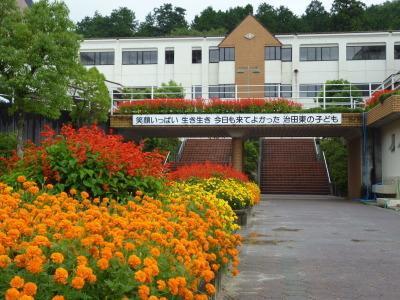 リシアンサス(栗東市立治田東小学校)