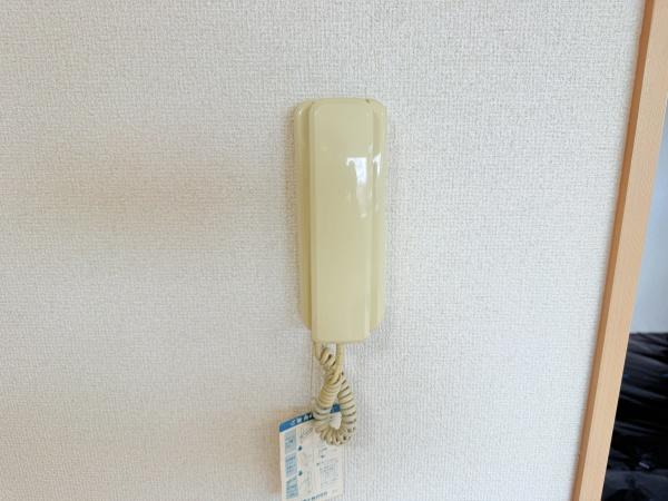 ハート　シード