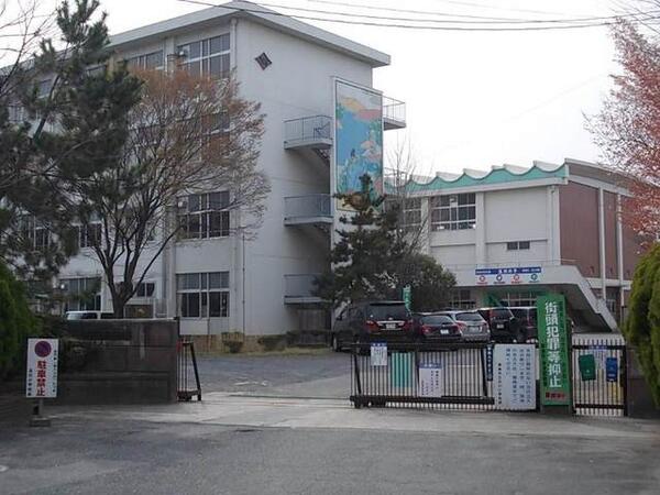 レーベンバンブー３
