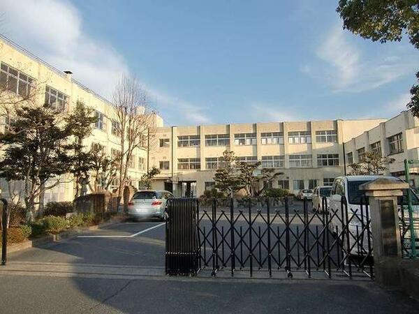 悠空感