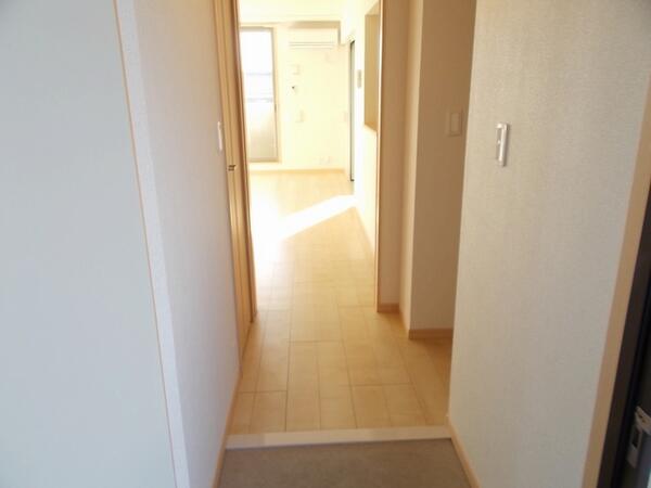 シーダーエース