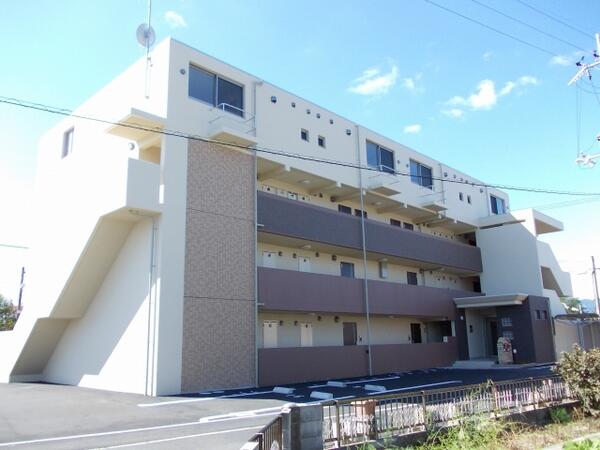 シーダーエース