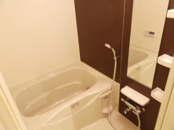 シーダーエース