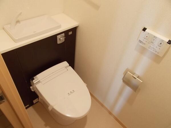 シーダーエース