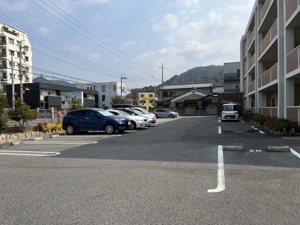 Ｅｖｅｒ　Ｇｒｅｅｎ　Ｆｕｊｉ　野洲市小篠原