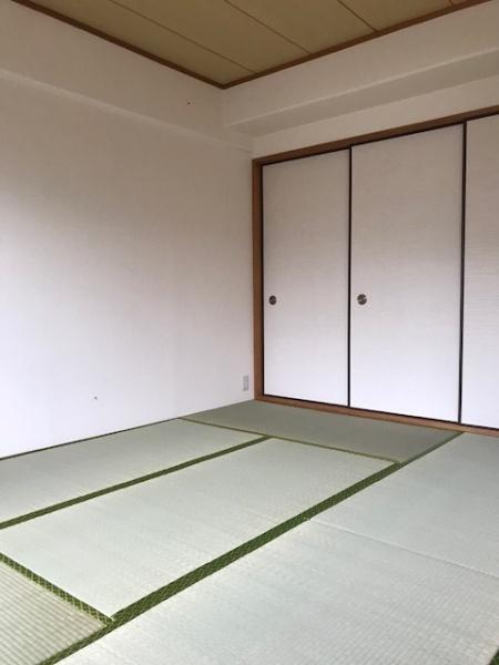 コスモ野洲