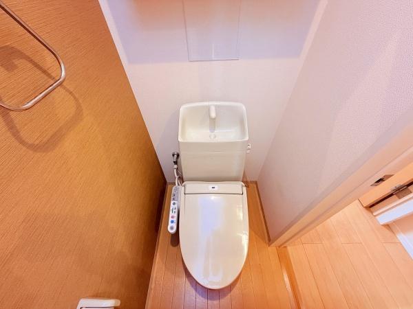 パインフィールド松