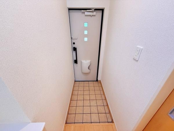 秋桜　コスモス