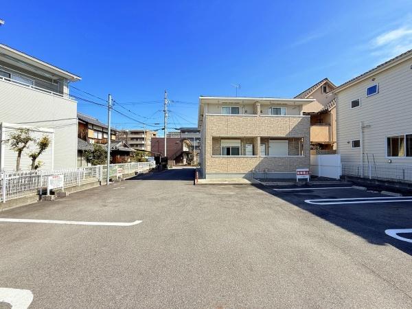 秋桜　コスモス