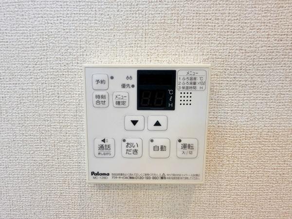 秋桜　コスモス