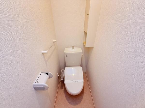 秋桜　コスモス