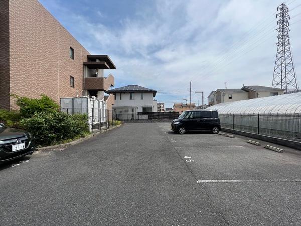 ダンデライオン　守山市二町