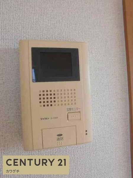 プラシード