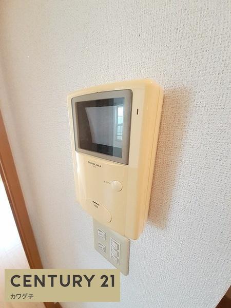 シャイニー・ウィングスA