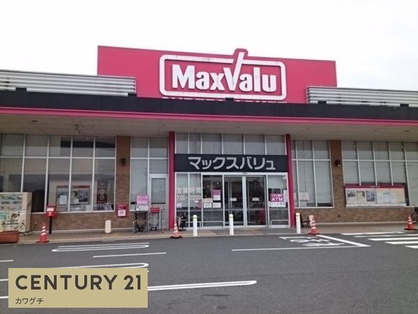 チェリーブロッサム　B