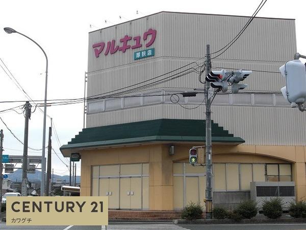 チェリーブロッサム　B