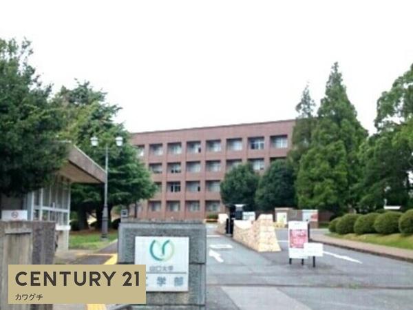 エクセランC