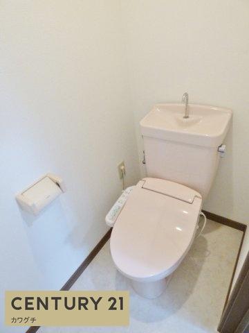 アペックスB