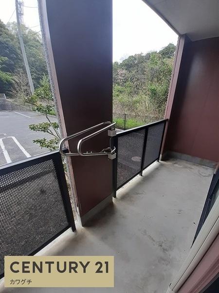 カリダ　ウェントゥス