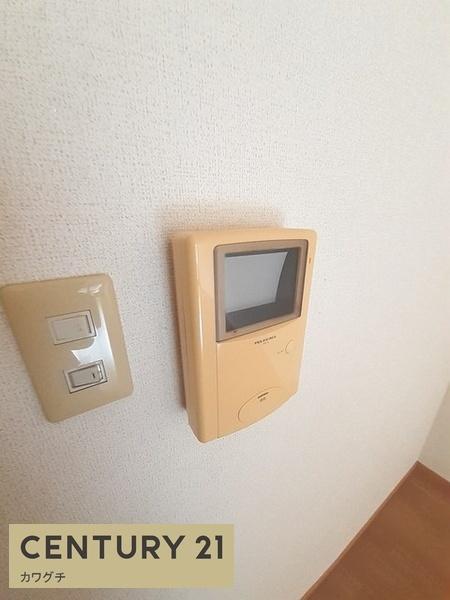 カリダ　ウェントゥス
