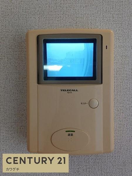 シャイニー・ウイングス　B