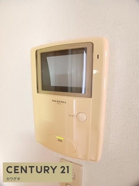 シャイニー・ウィングスA