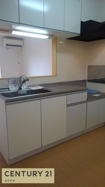 ブルー・パインB