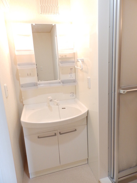 ベルヴィル　カメリア