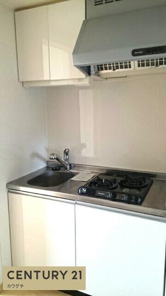 クラシオンルガール　イシカワⅡ