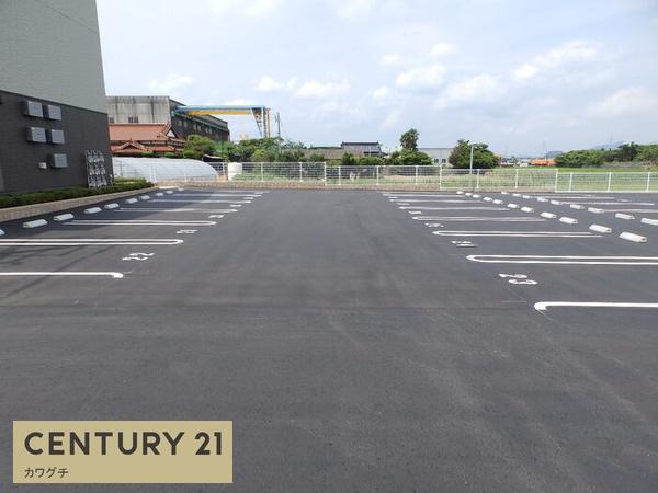 ティエードコート