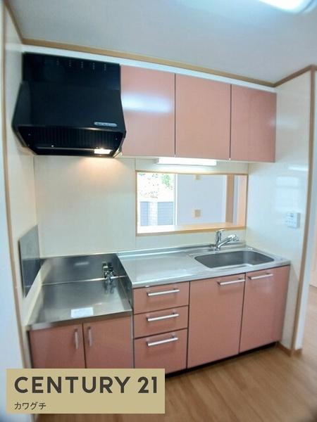 カレッジコート　D